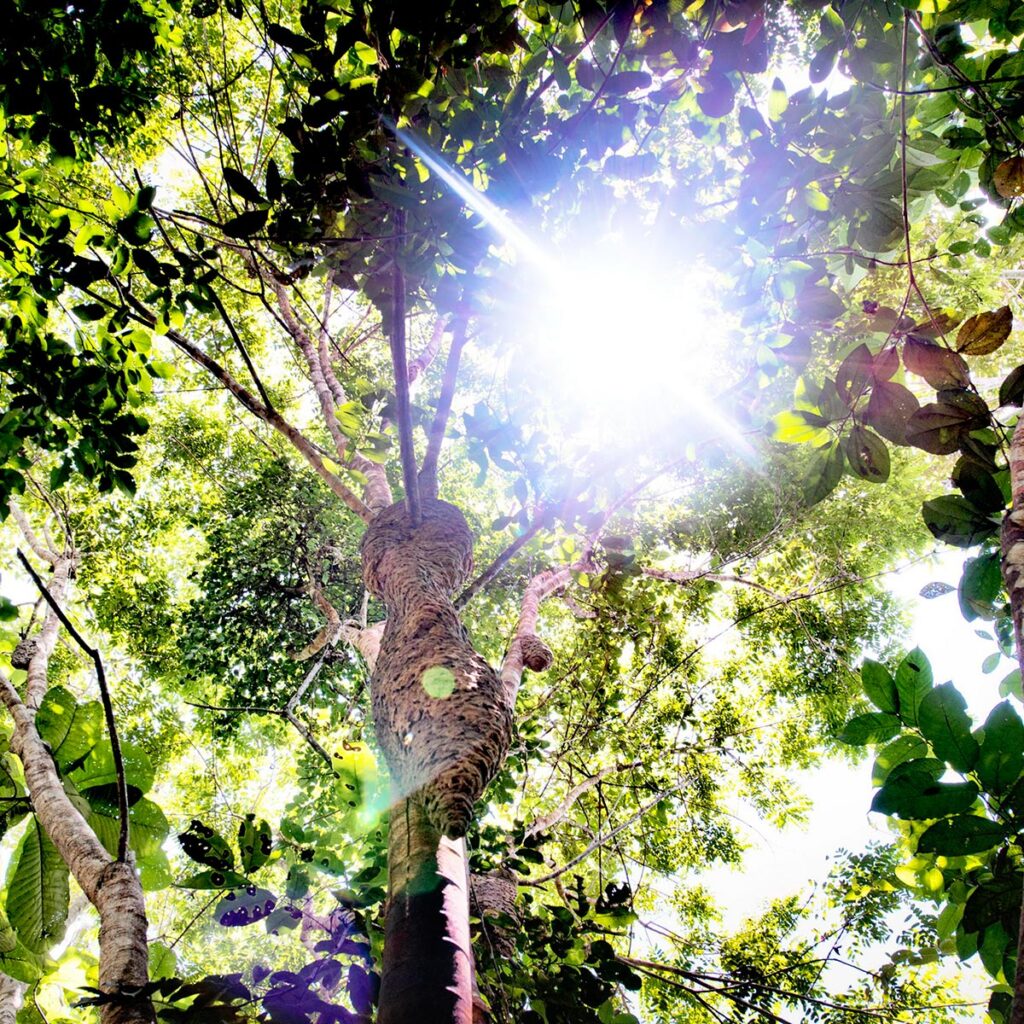 The programs featured image